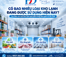 Có Bao Nhiêu Loại Kho Lạnh Đang Được Sử Dụng Hiện Nay