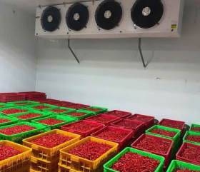 Sửa chữa kho lạnh uy tín