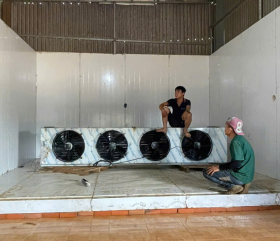 xu hướng thiết kế kho lạnh tiết kiệm năng lượng 2026