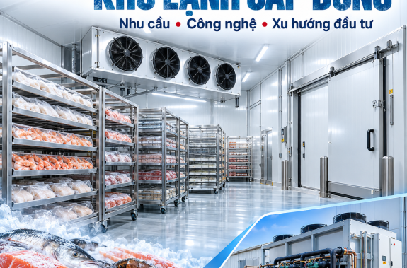 Thị trường thi công kho lạnh cấp đông hiện nay