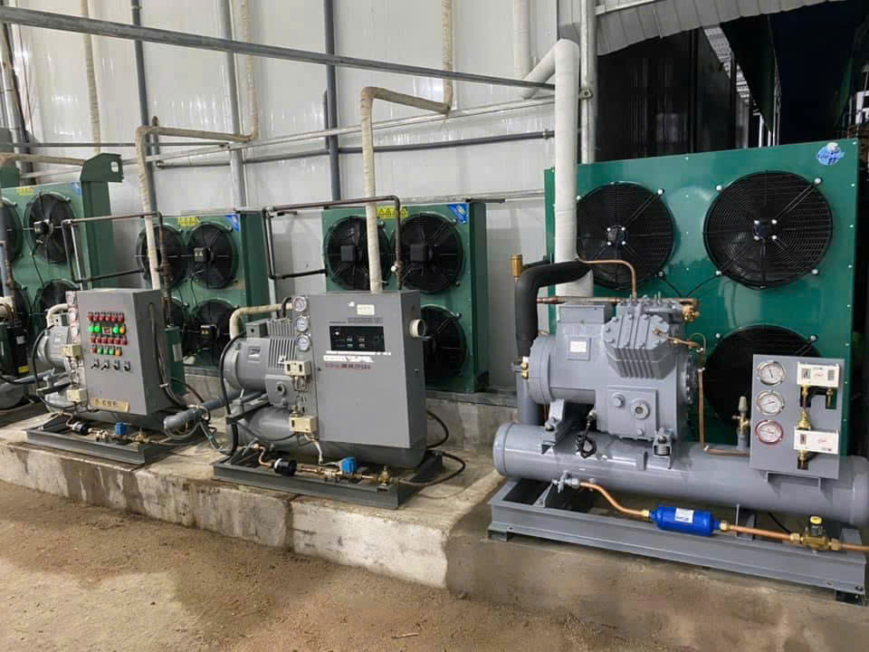 đơn vị thi công kho lạnh