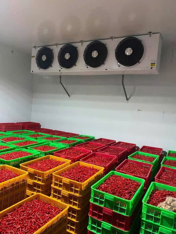 Sửa chữa kho lạnh uy tín