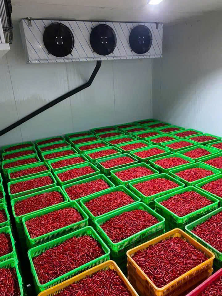 Sửa chữa kho lạnh uy tín