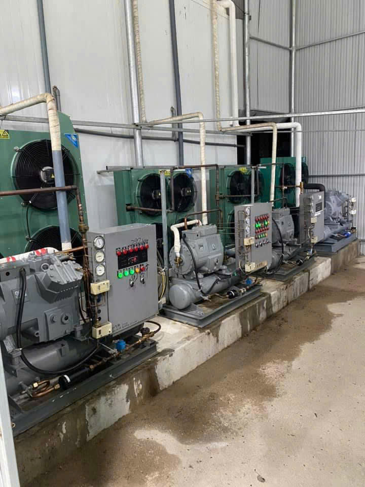 thi công kho lạnh công nghiệp