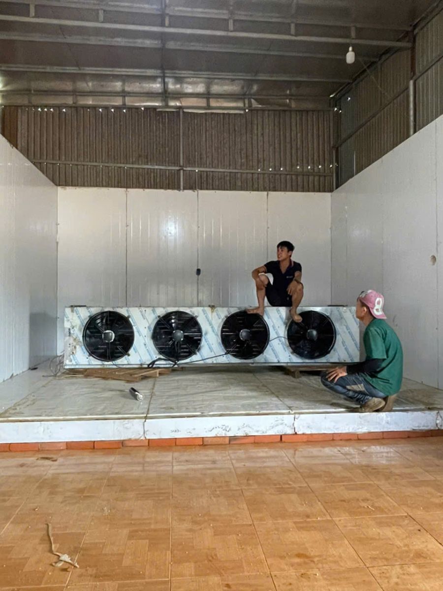xu hướng thiết kế kho lạnh tiết kiệm năng lượng 2026