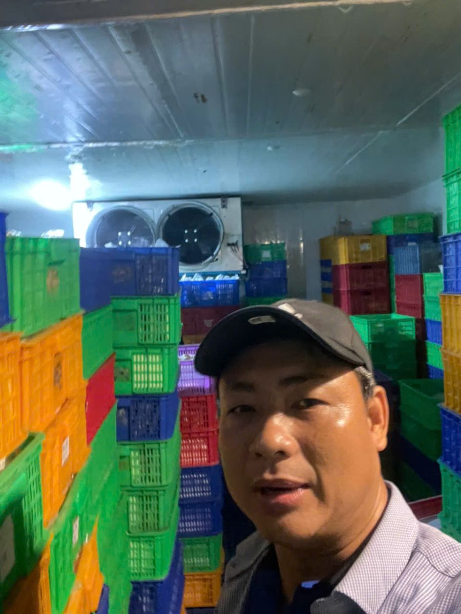 sửa chữa hệ thống kho lạnh tại cần thơ